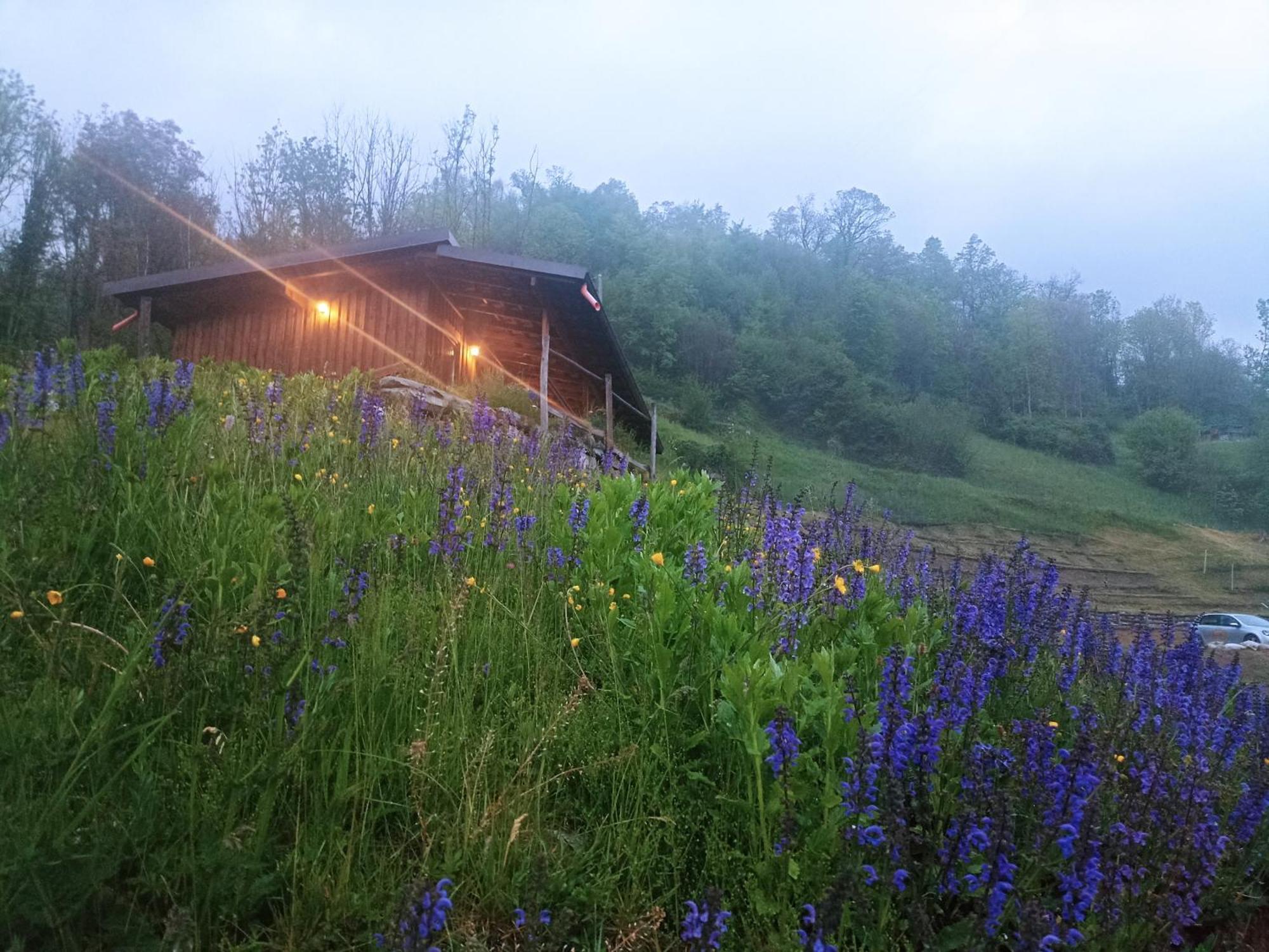 Agriturismo Cascina Cornella Cremeno Экстерьер фото