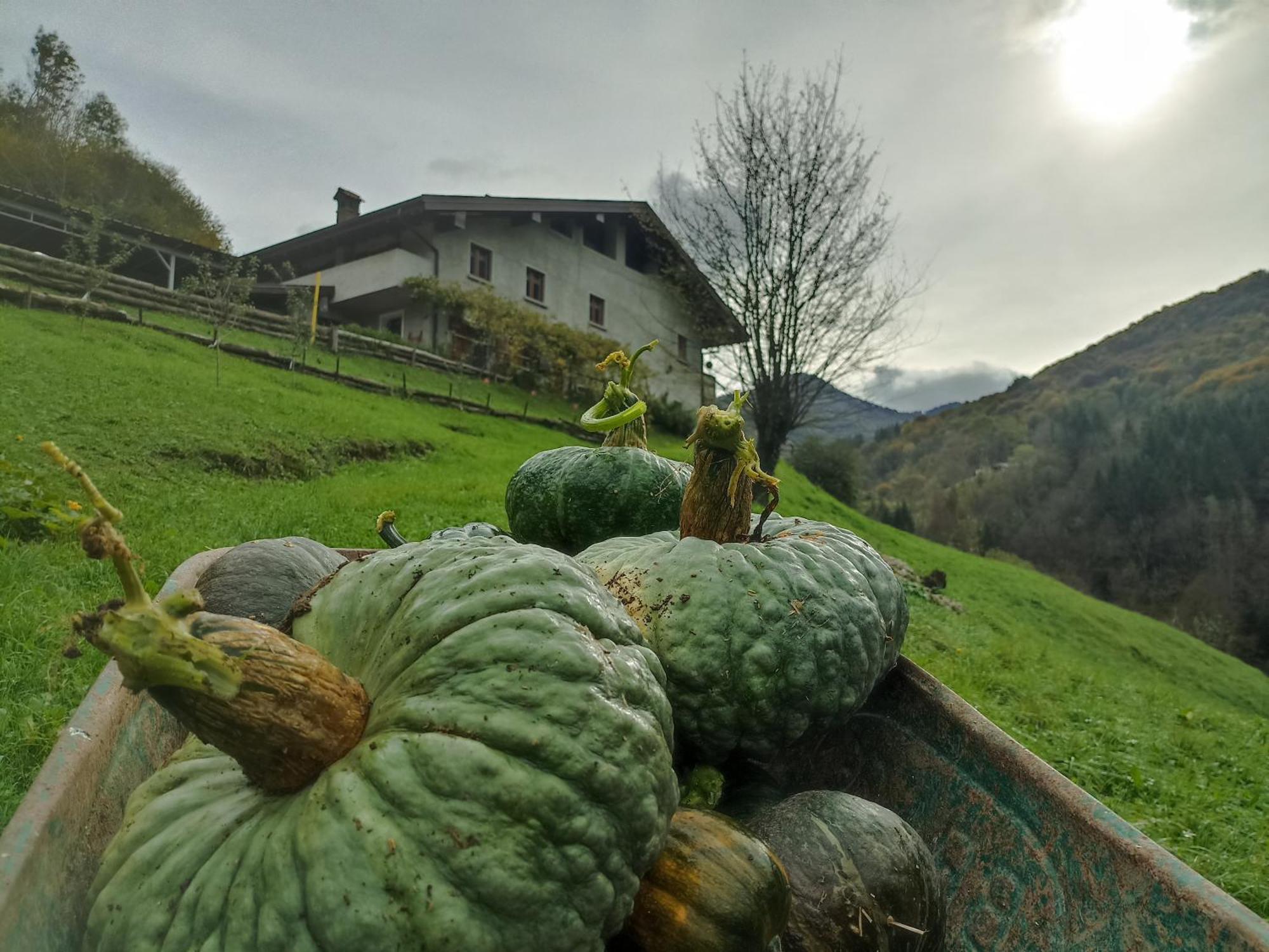 Agriturismo Cascina Cornella Cremeno Экстерьер фото