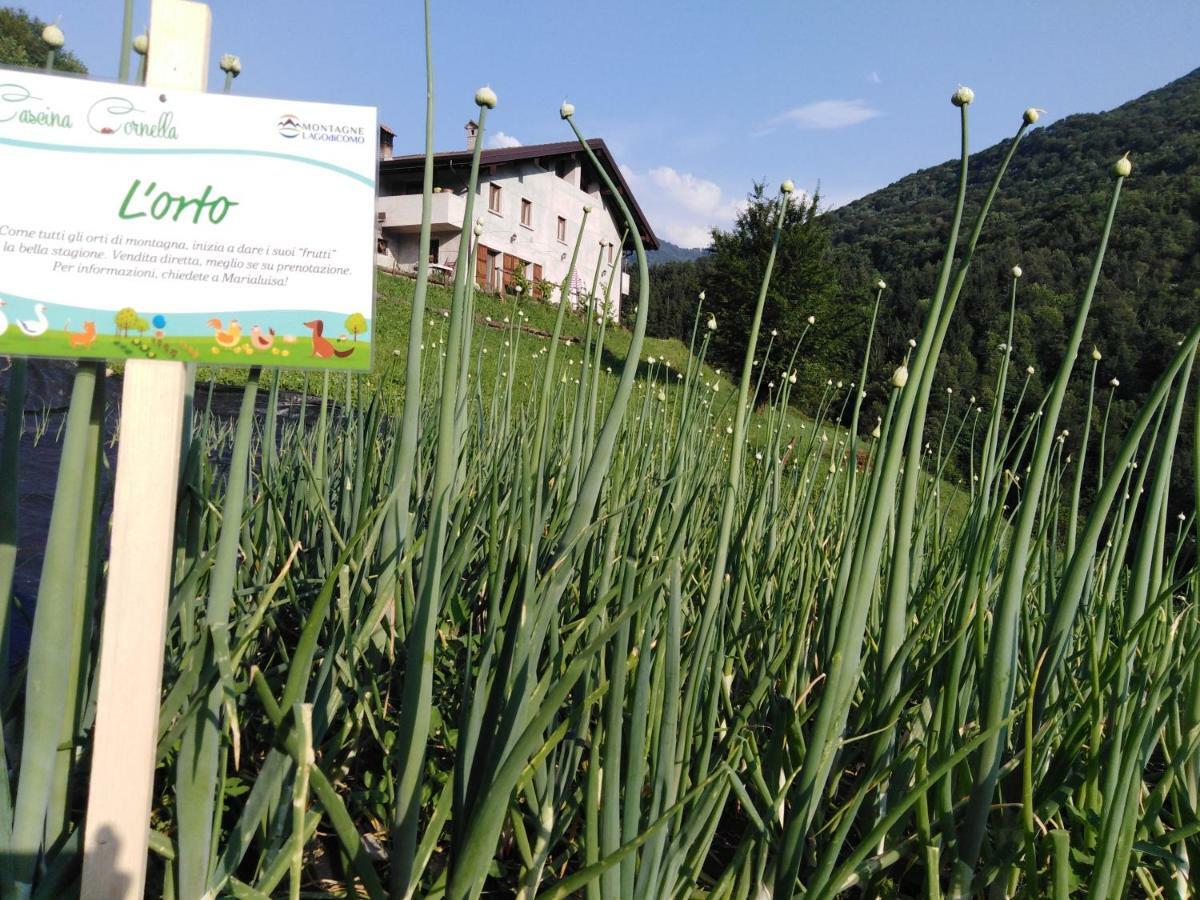 Agriturismo Cascina Cornella Cremeno Экстерьер фото